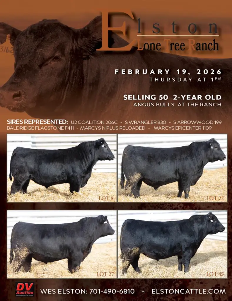 nodakti_253294596672067_6459641740485695565_screenshot-2026-02-03-153716