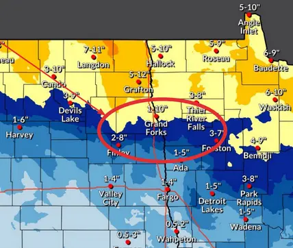 screenshot-2026-02-17-122158