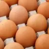 eggs-jpg-3