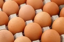 eggs-jpg-3