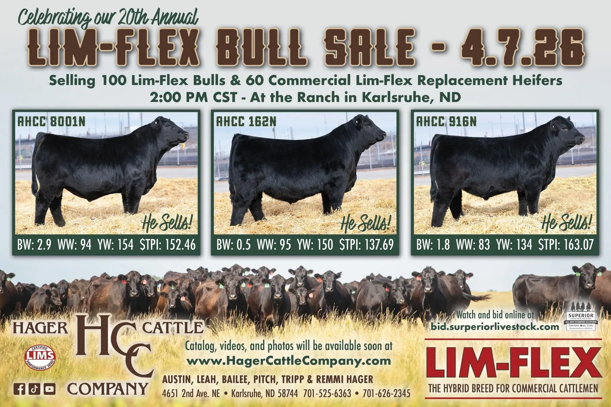Hager Cattle Company Lim-Flex Bull Sale