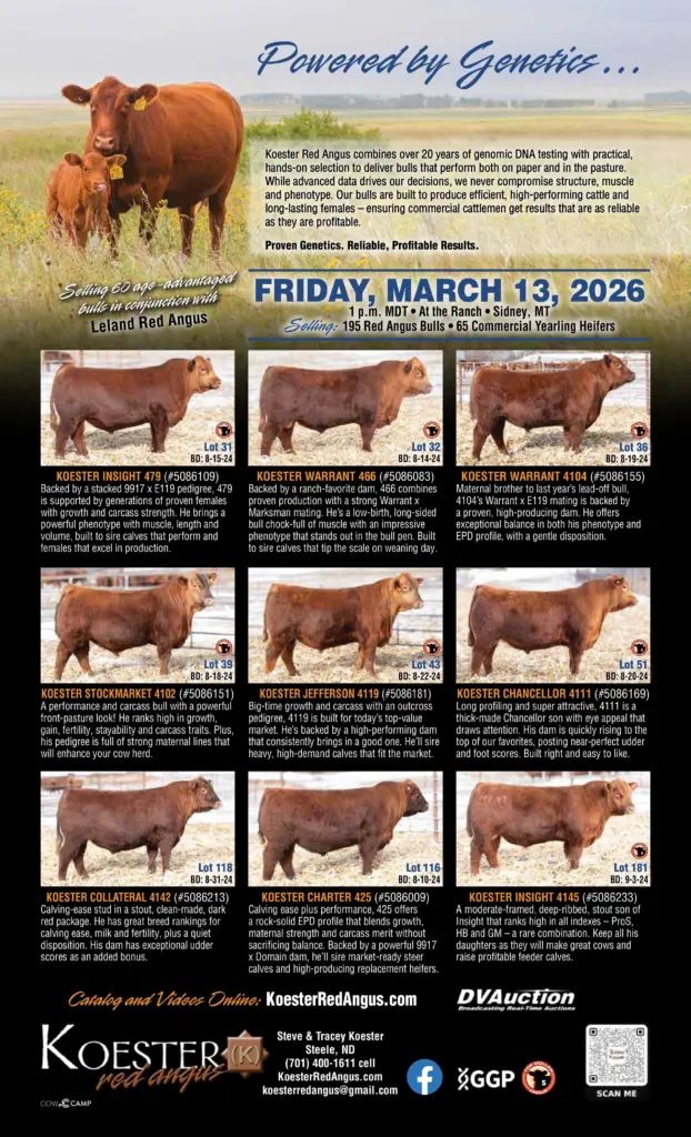 koester-poster-2026-copy