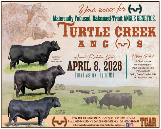 turtle-creek-flyer