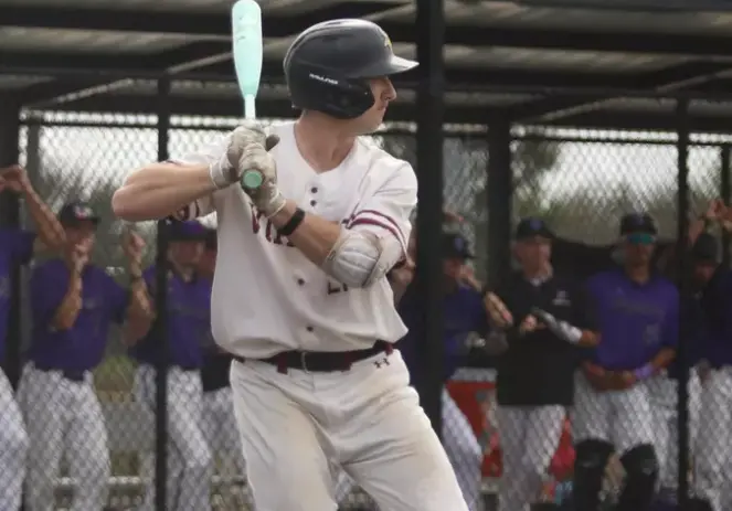 viking-baseball-3