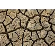 drought-jpg-5