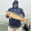 26eye