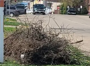 Valley City Branch Clean Up Week