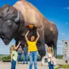 world-largest-buffalo2