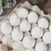 white-eggs-jpeg-10