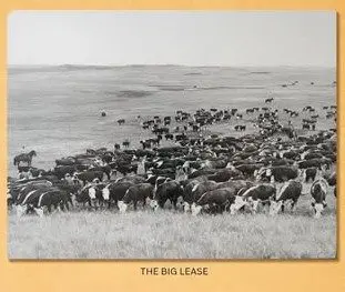 big-lease
