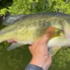 lmb5-28