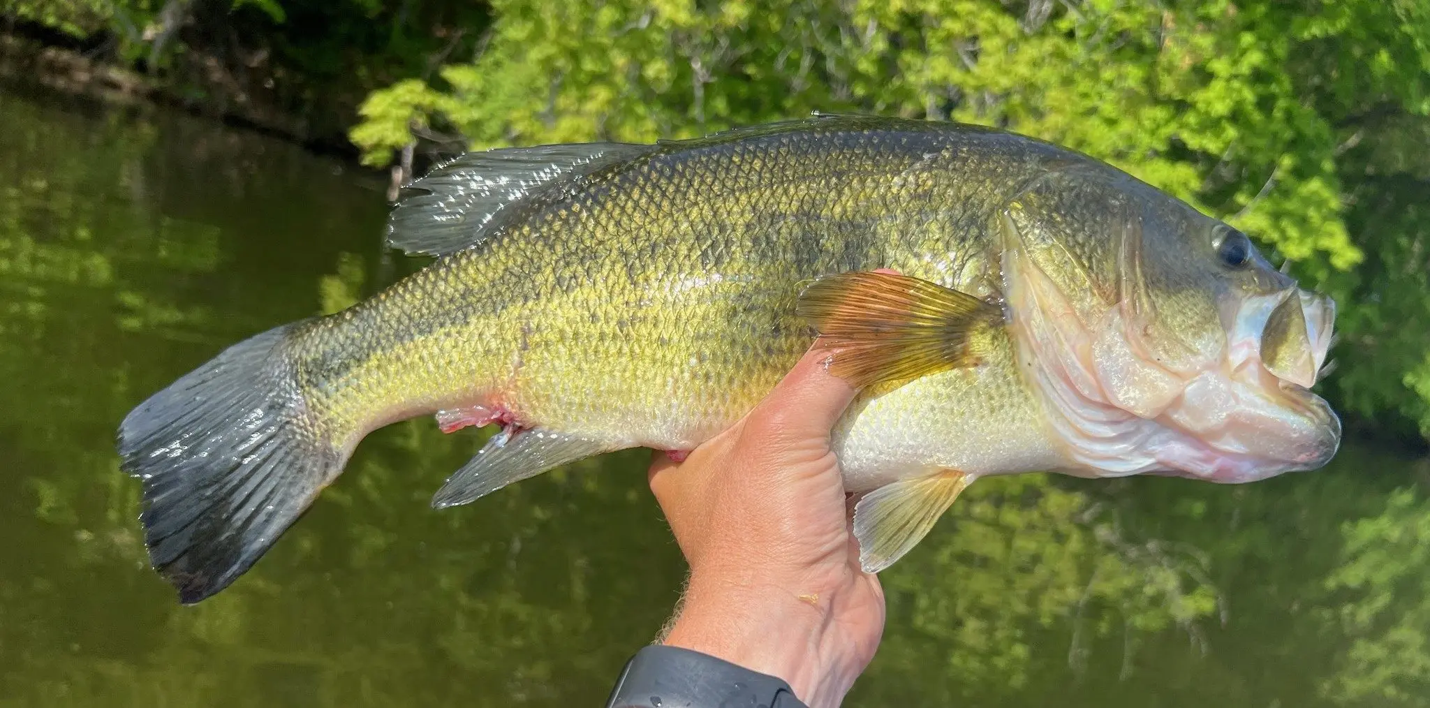 lmb5-28