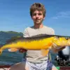 golden-walleye