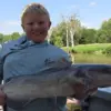 durick-cat-7-16-26