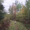 trailrun