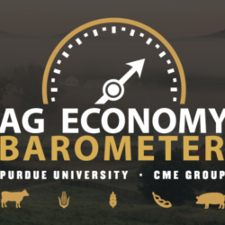 How Farmer Sentiment Compares in the U.S. and Argentina - News Dakota thumbnail