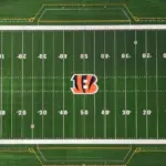Paycor Stadium Field^ home of the Bengals football team Cincinnati^ Ohio^ Aug 15^ 2024