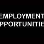 employment-opportunites-1000x563