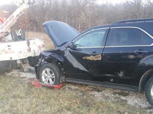 Car vs Deer