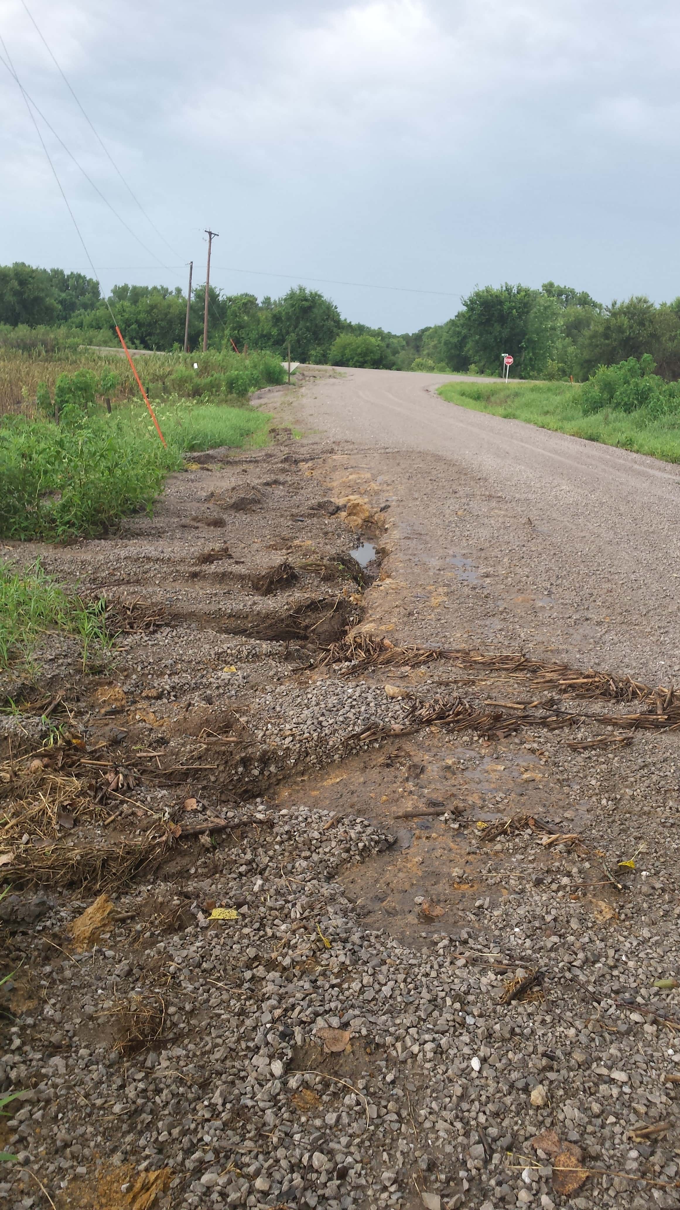 1438031951943_2405999785_780975ff