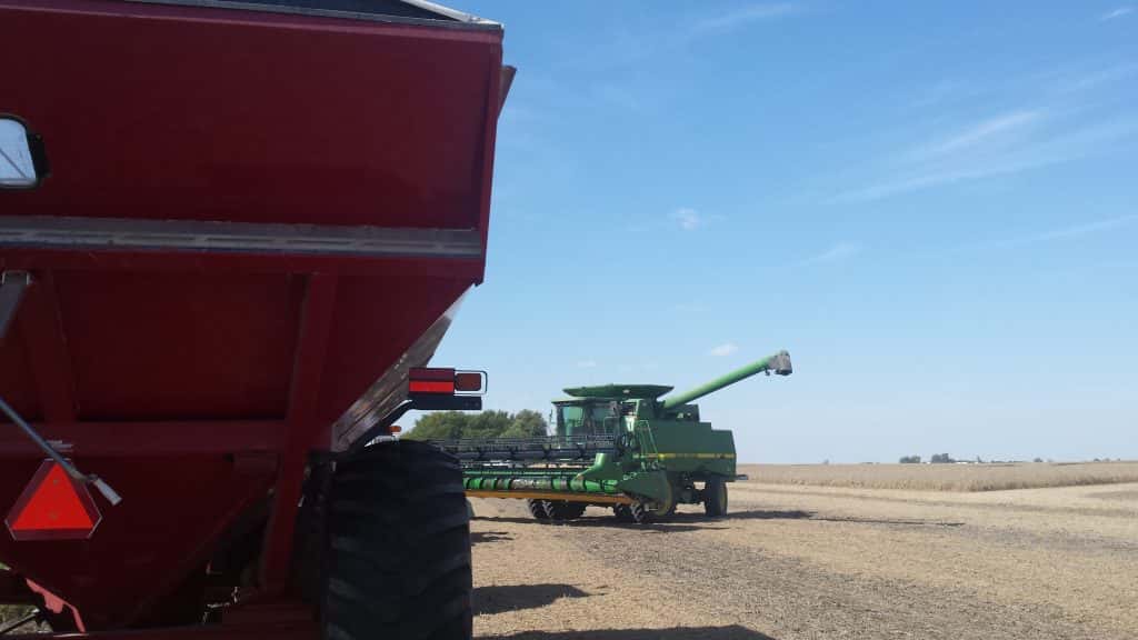 Harvest Season Providing Good Yields So Far in 2023 - Vimarsana News