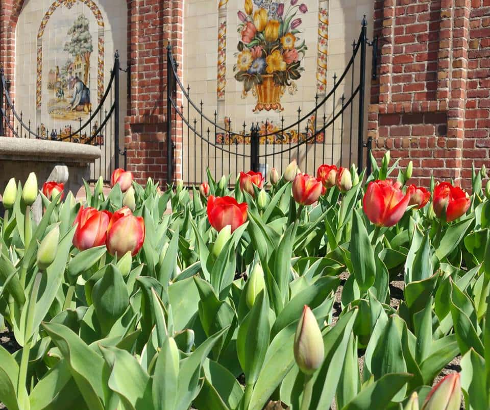 Photo by City of Pella staff