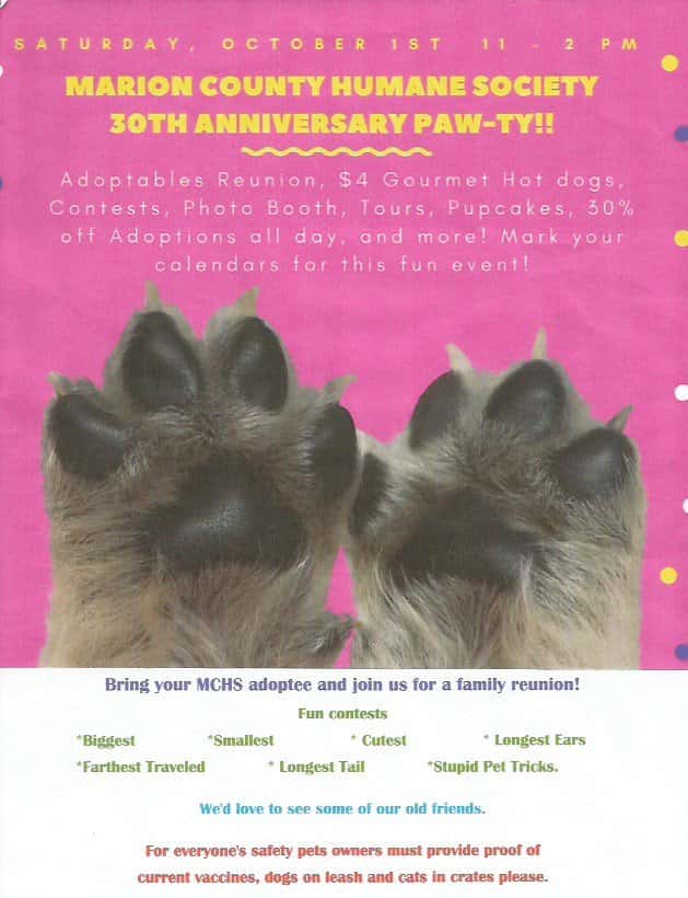 paws