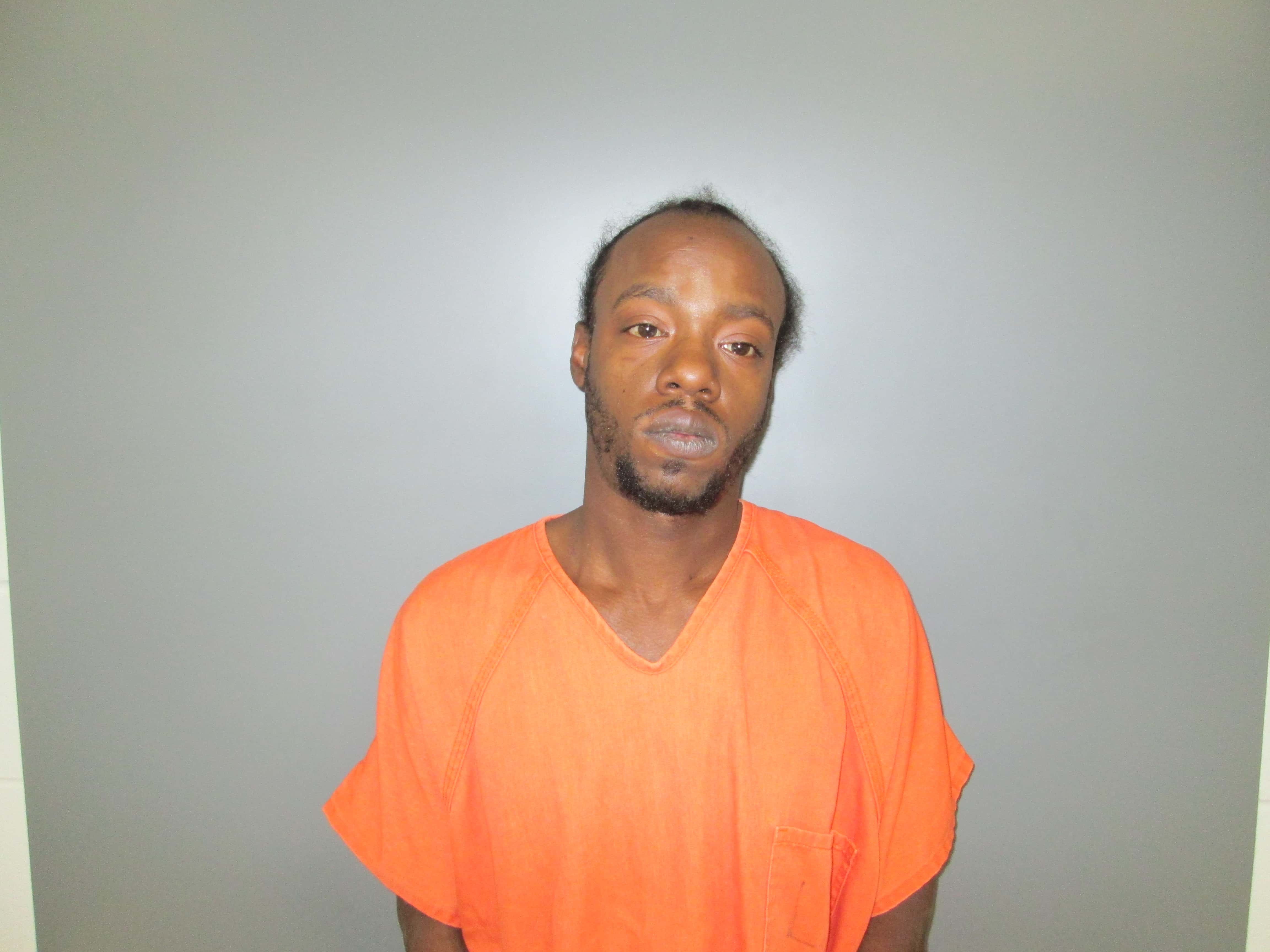 butlerkentrae-montae-001