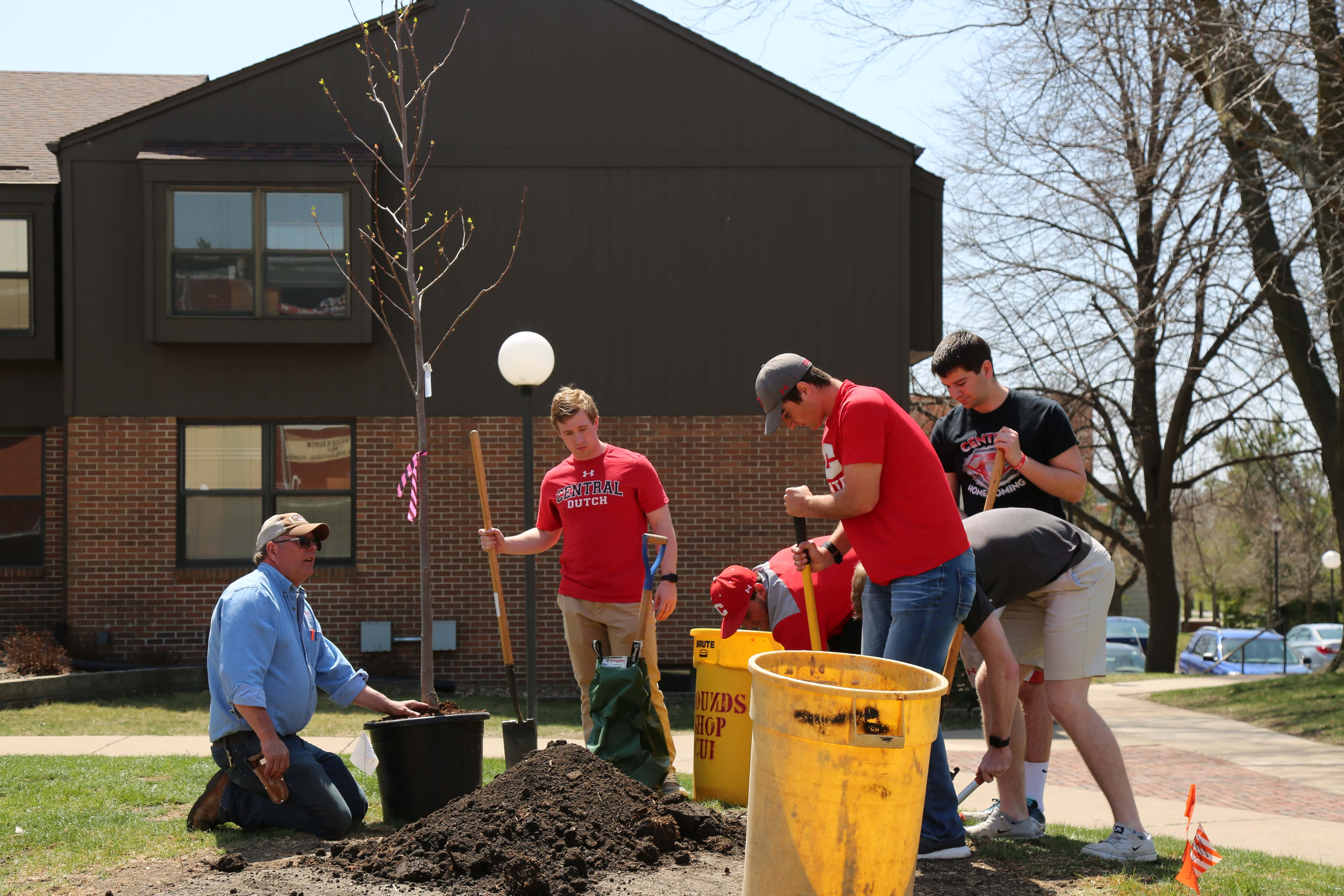 tree_campus_usa