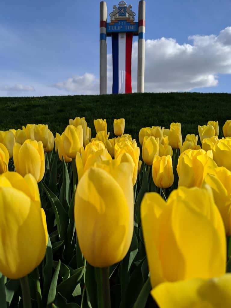 Pella's 2020 Tulip Time Celebration Cancelled | KNIA KRLS Radio - The