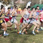 state-cross-country-2019_34