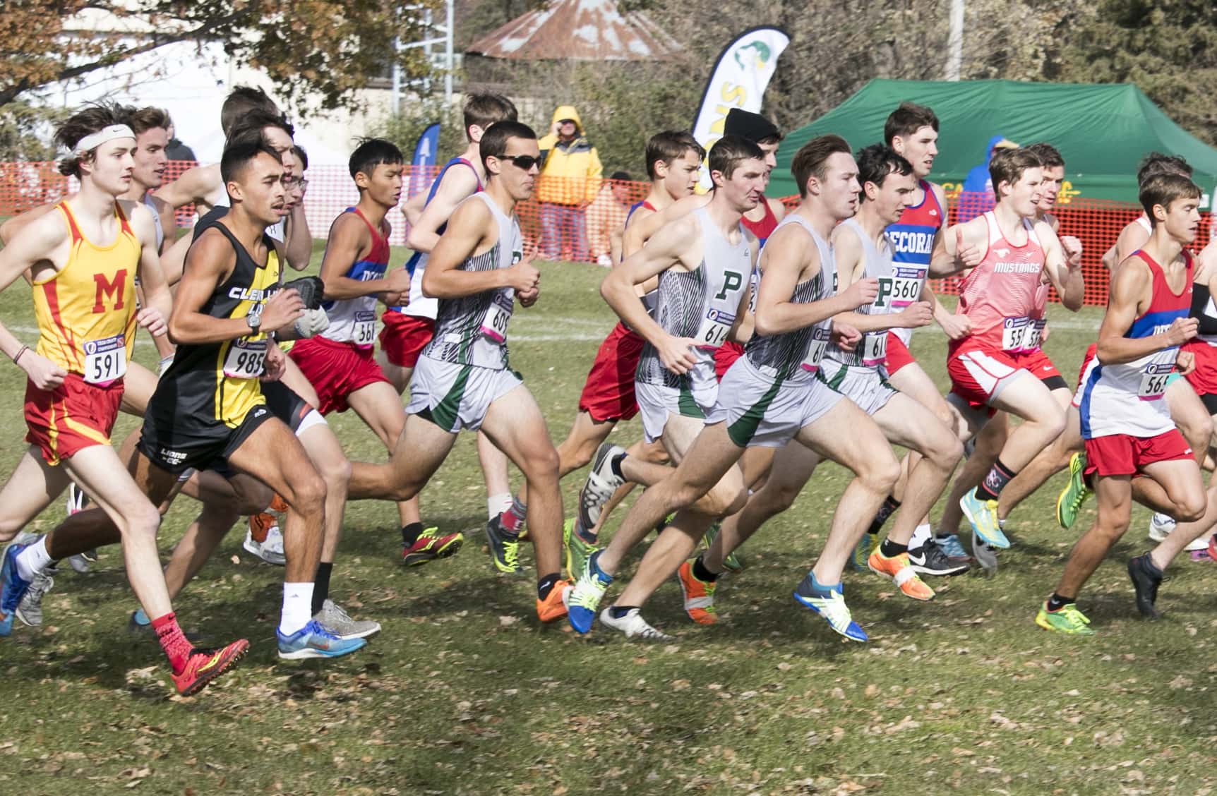 Local Athletes Compete at State Cross Country Meet KNIA KRLS Radio