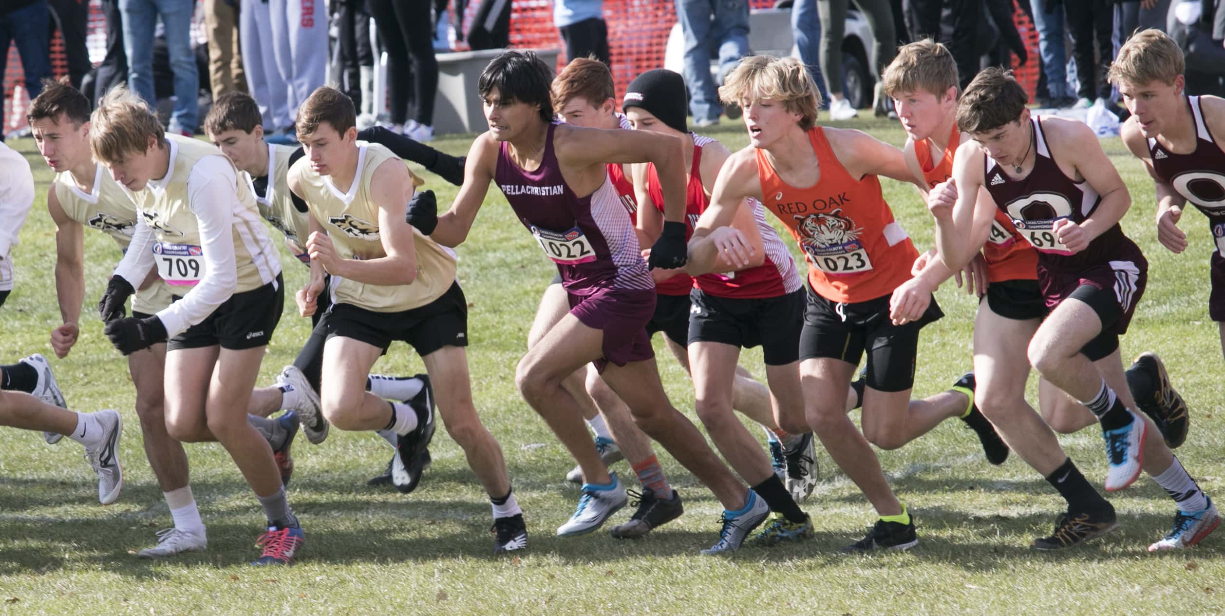 state-cross-country-2019_54