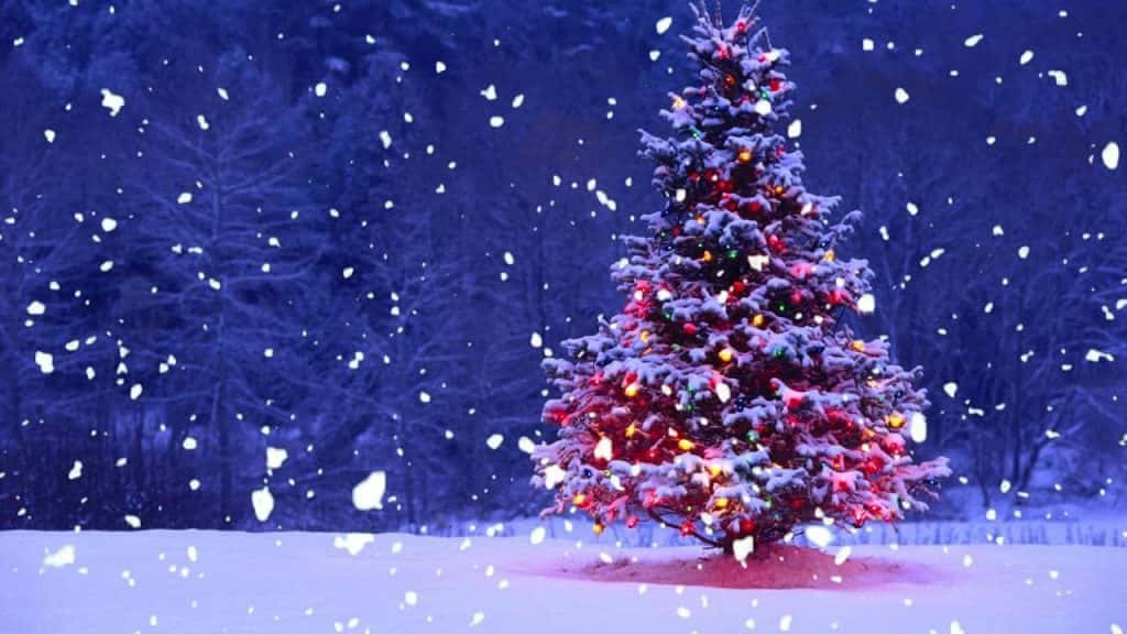 Food Shelves continue Holiday Efforts - Vimarsana News