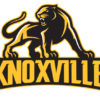 sports-logo-panthers-knoxville-2