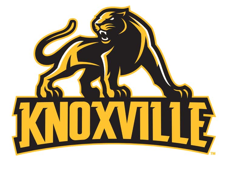 sports-logo-panthers-knoxville-2