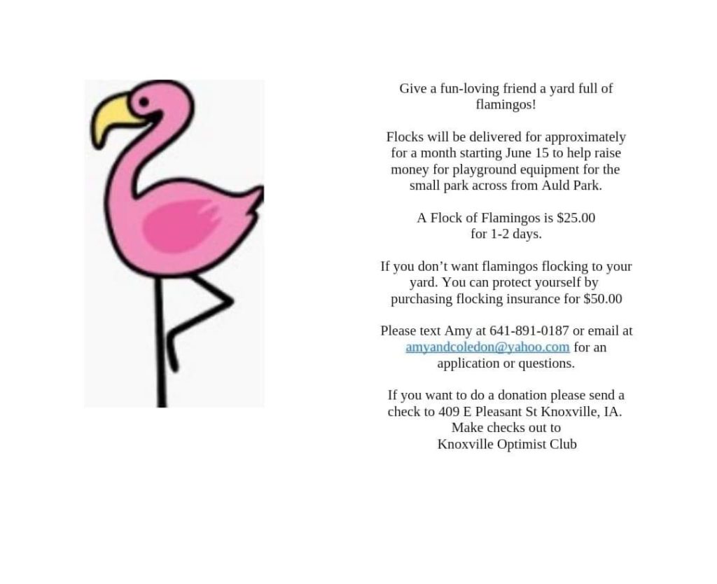 Knoxville Optimist Club holding Flamingo Fundraiser - Vimarsana News