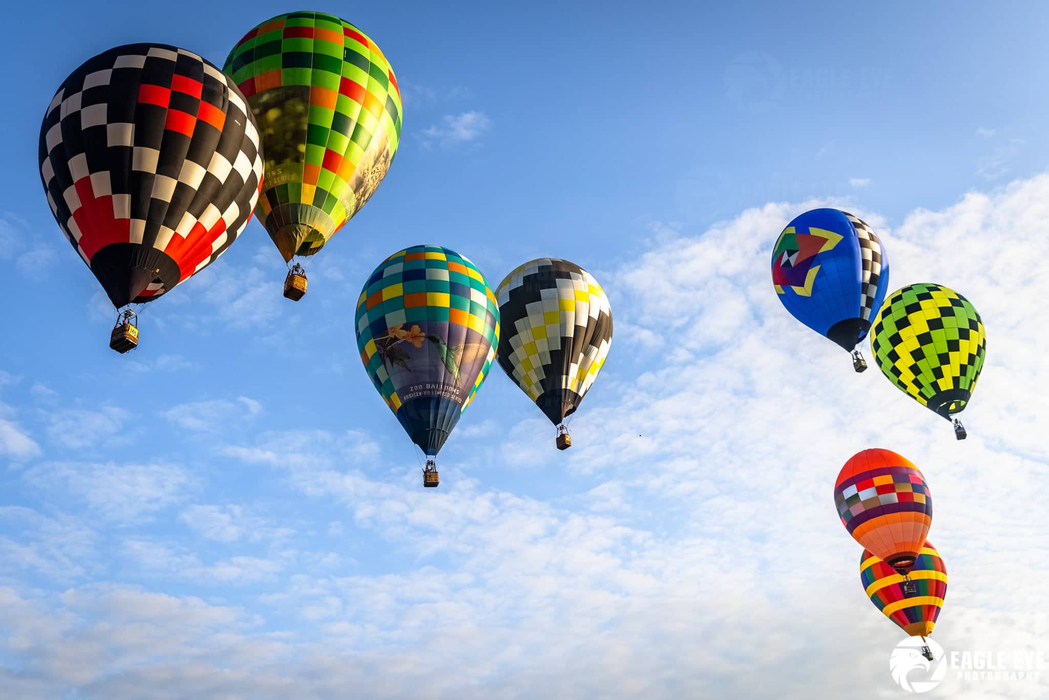 230126138_1040639033349016_564862181075598754_n