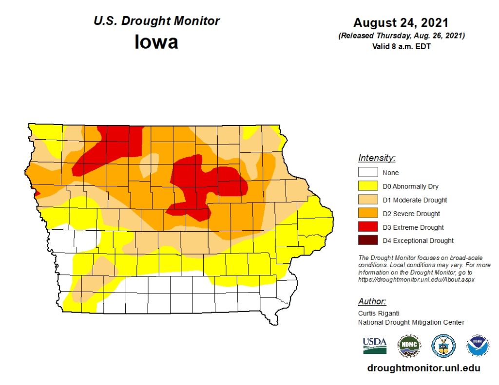 Drought Conditions Unchanged Locally Again - Vimarsana News