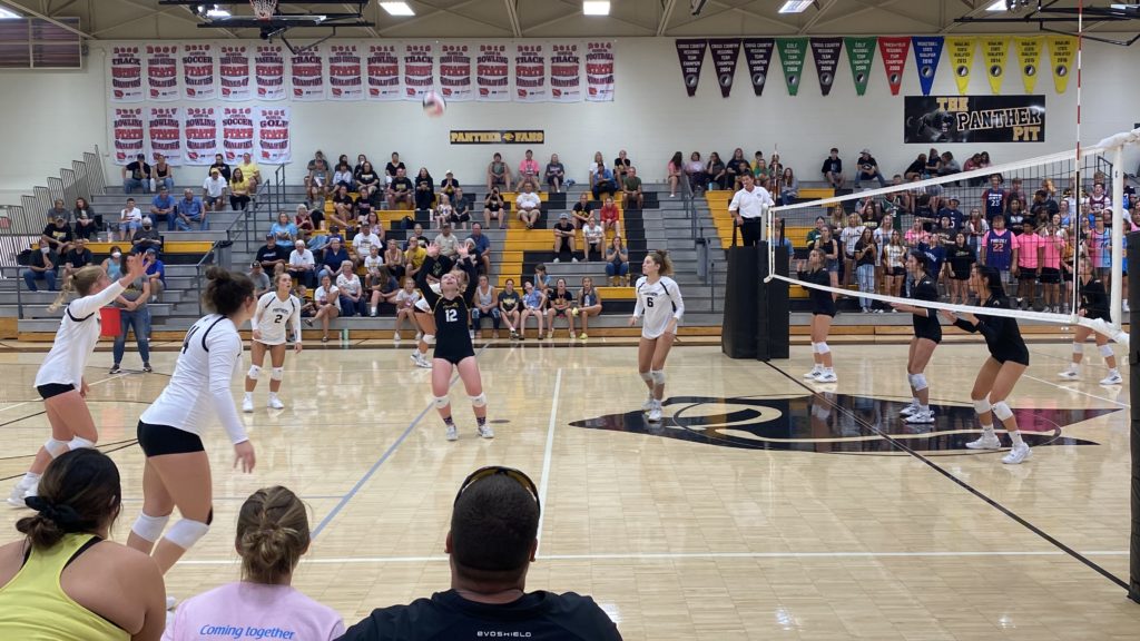 Several Spots To Fill For Knoxville Volleyball Next Season - Vimarsana News