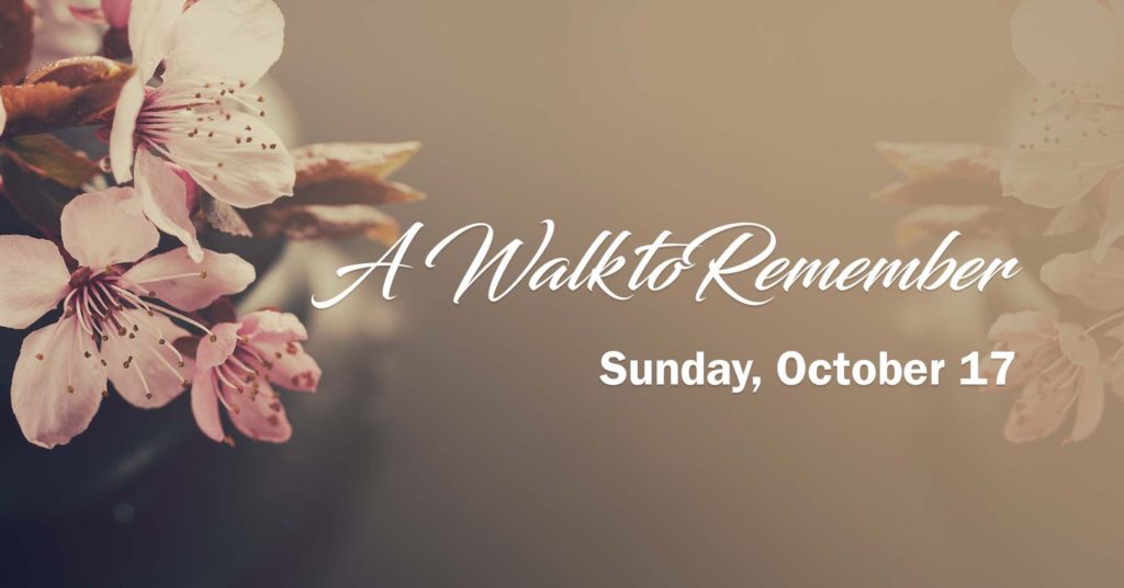 A Walk to Remember Coming Saturday - Vimarsana News