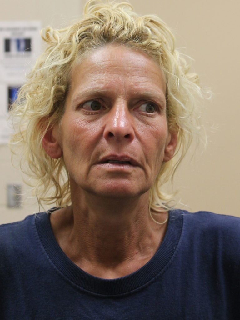 Pella PD Conducts Felony Traffic Stop for Stolen Vehicle - Vimarsana News