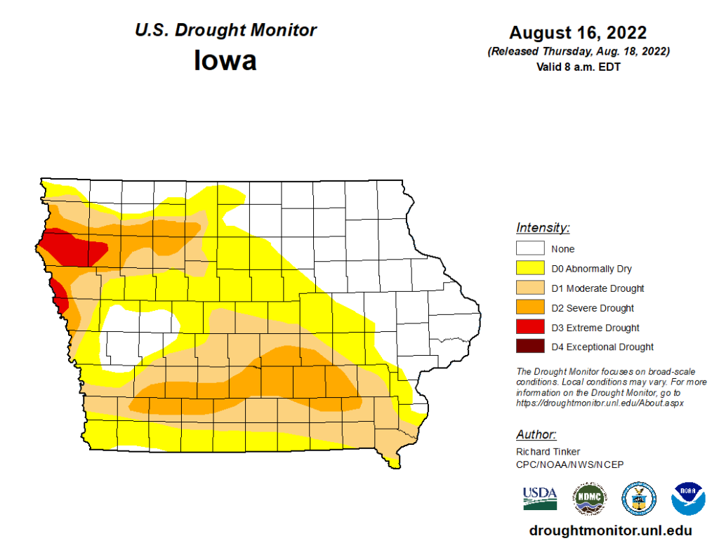 Drought Persists Locally Despite Rainfall Over Past Week - Vimarsana News