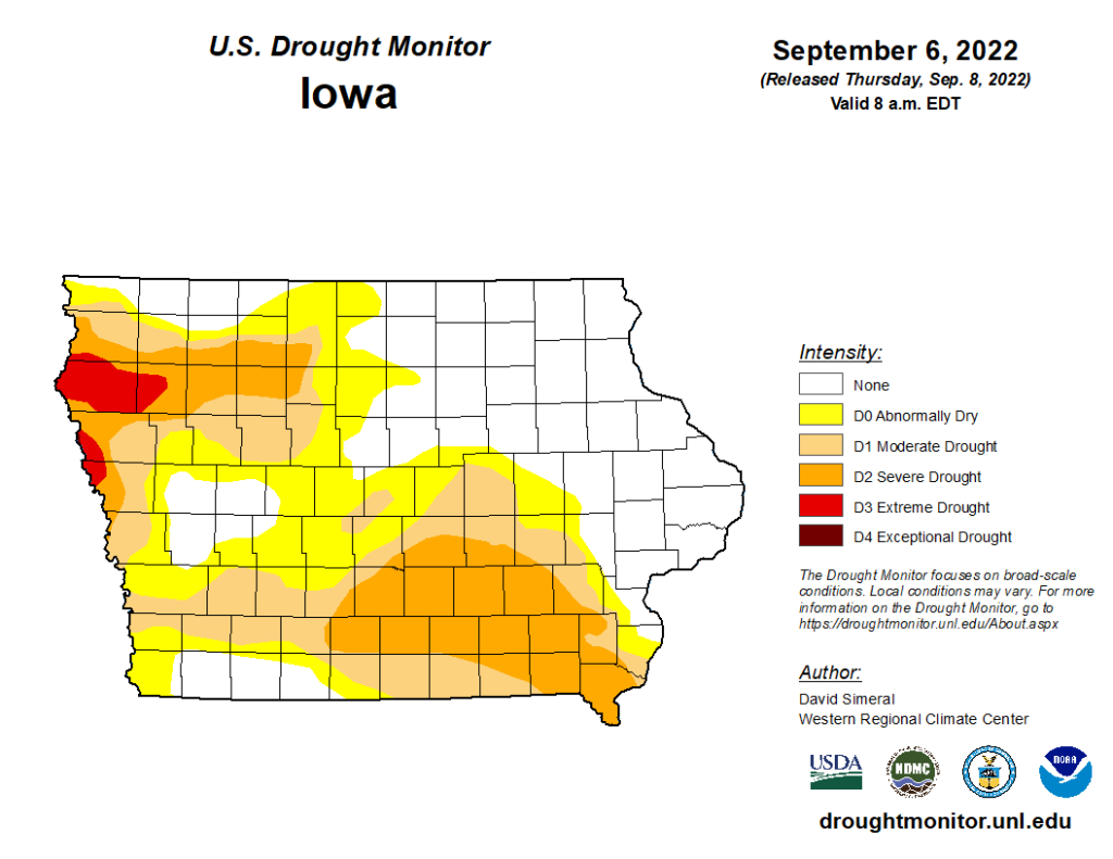 Needed Rain Soaks Region Saturday in Areas Impacted by Drought - Vimarsana News