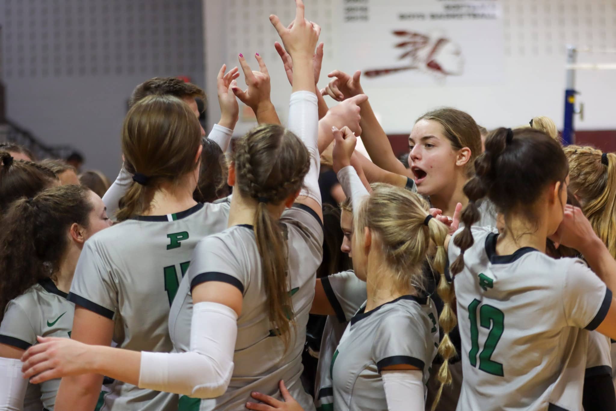 pella-vb