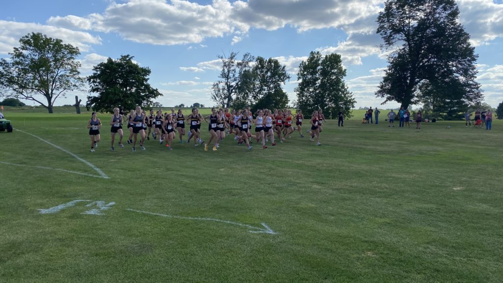 Twin Cedars, Melcher-Dallas, and Pleasantville Head To Leon For The 1A Cross Country Qualifier - Vimarsana News