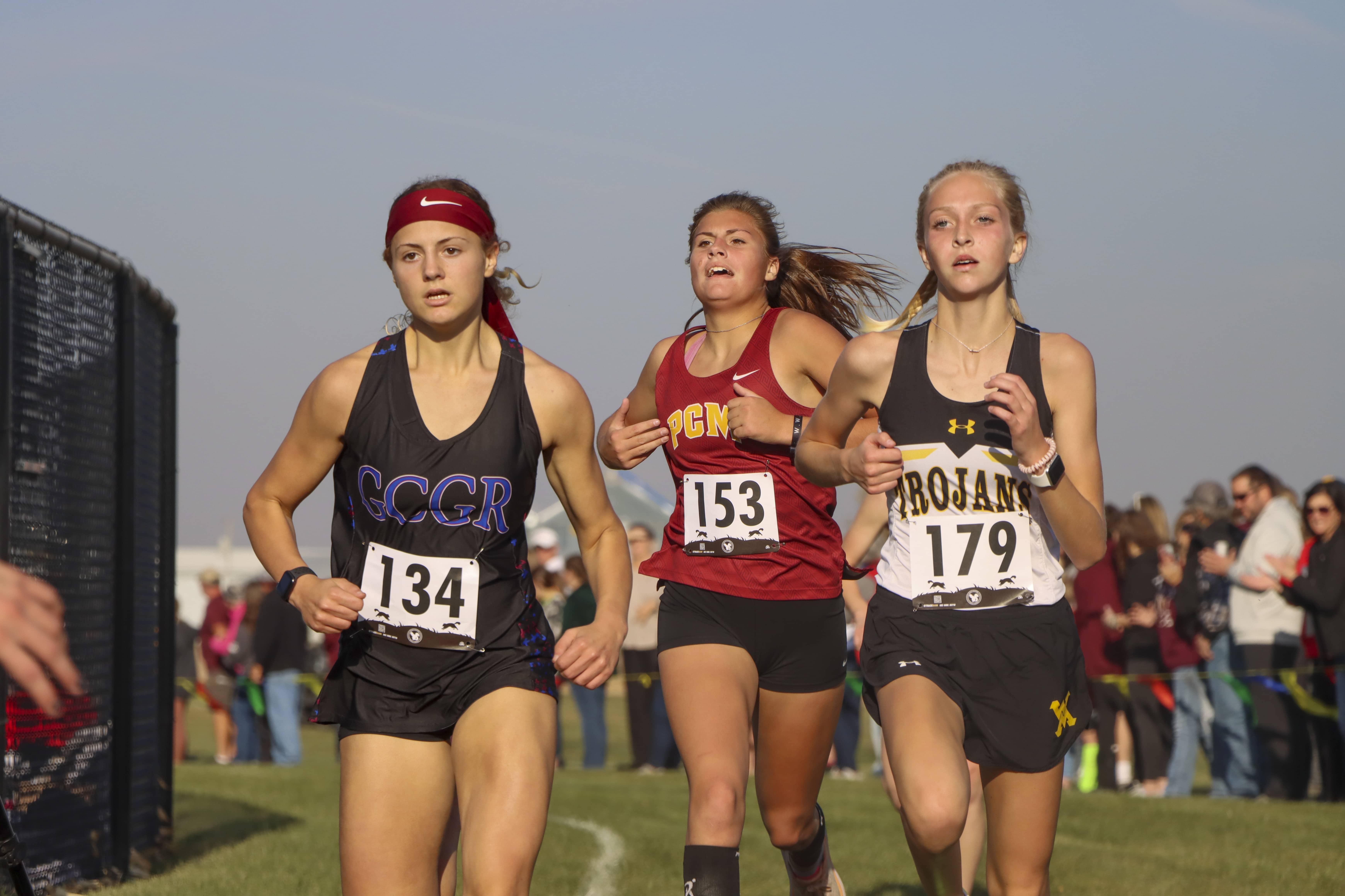 KNIA/KRLS Area State Cross Country Qualifiers Finalized KNIA KRLS