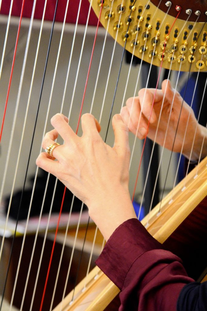 Local Harpist to Perform on Good Friday - Vimarsana News