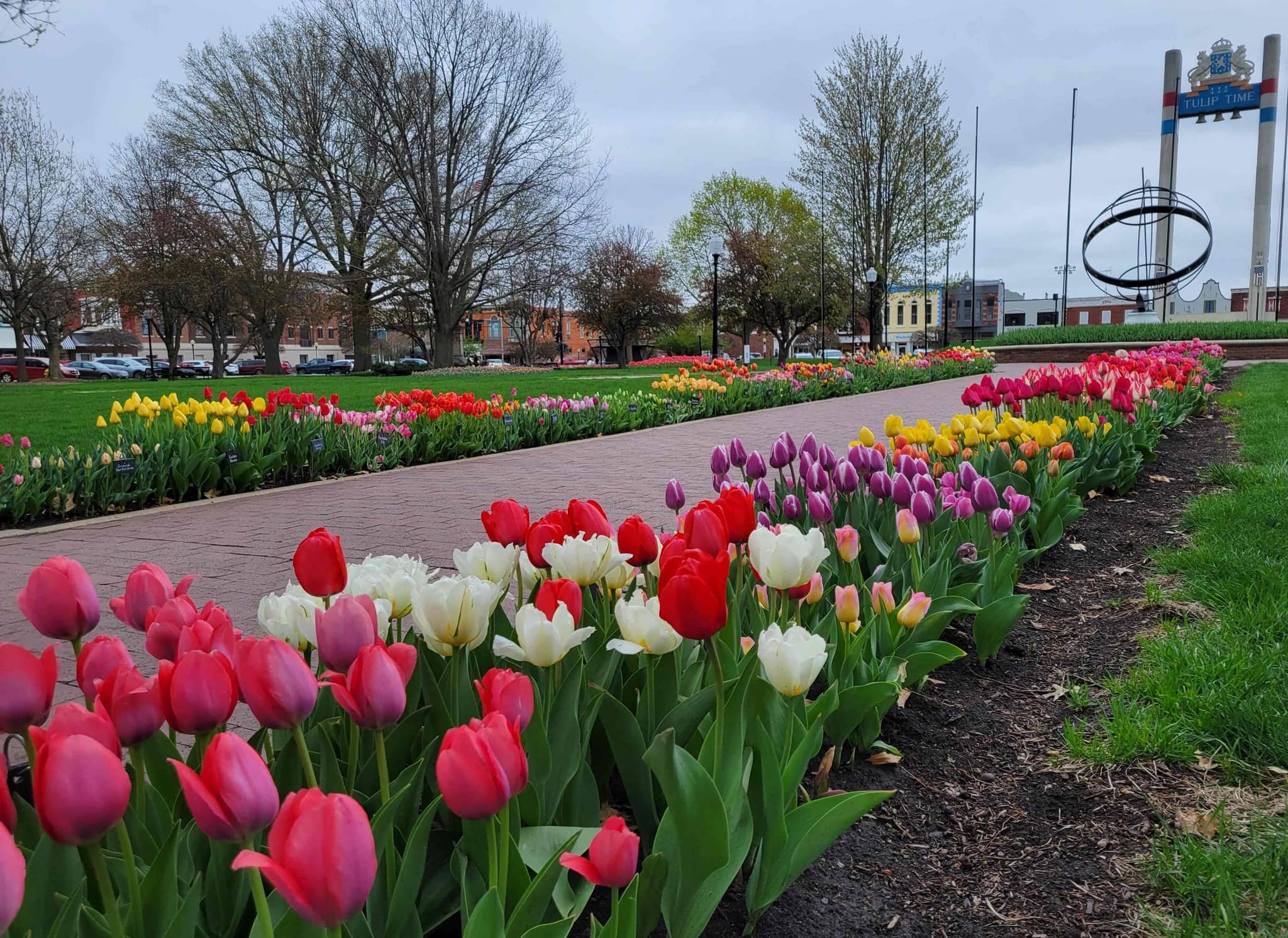 pella-tulips-2023-downtown-community-services