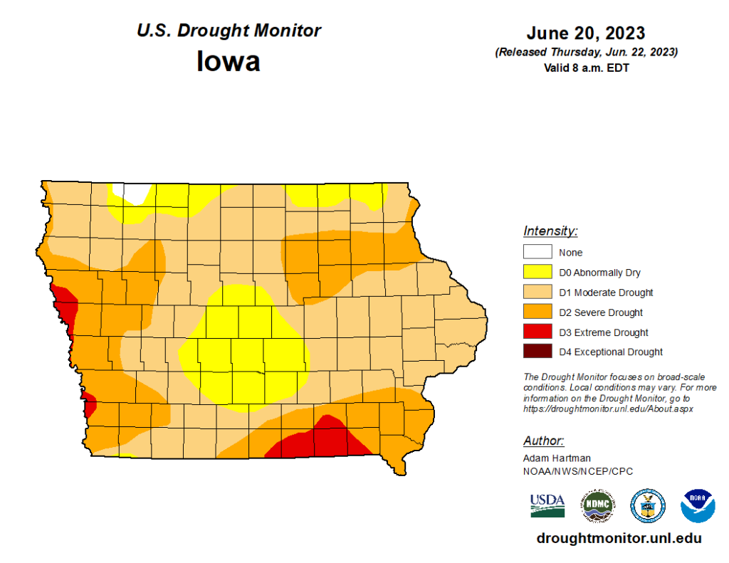 Dry Conditions Persist Locally in Latest Report - Vimarsana News